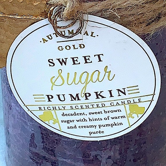 HAVEN STREET CANDLE SWEET SUGAR PUMPKIN PILLAR 3 BY 6 - Picture 4 of 4